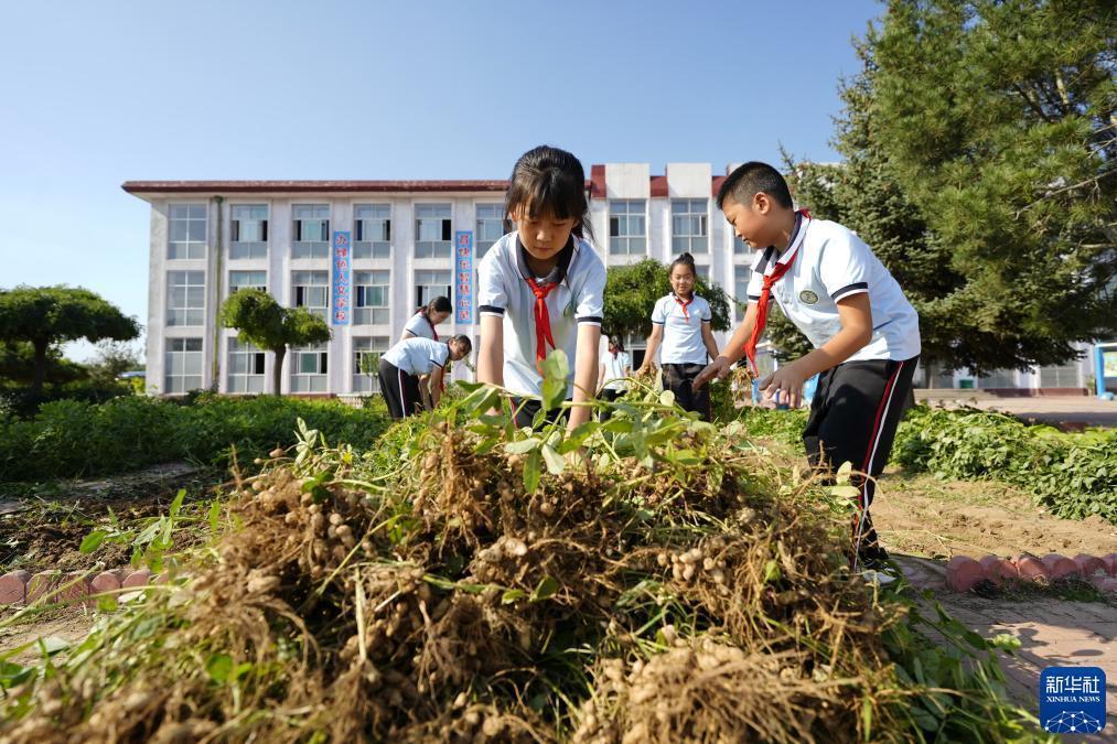 羽林平台注册网址